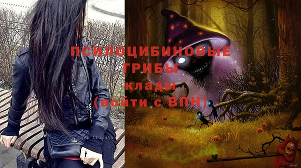 скорость Арсеньев
