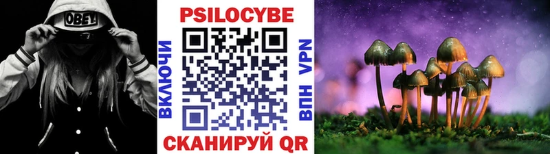Галлюциногенные грибы ЛСД Сегежа